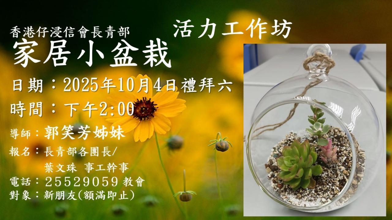 長青部- 活力工作坊:家居小盆栽(4/10)